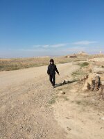 IMG_20261016_122925