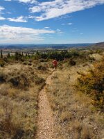 IMG_20261012_140530