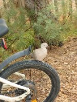 IMG_20260930_161836