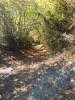 IMG_20261009_112620
