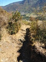 IMG_20261009_122601